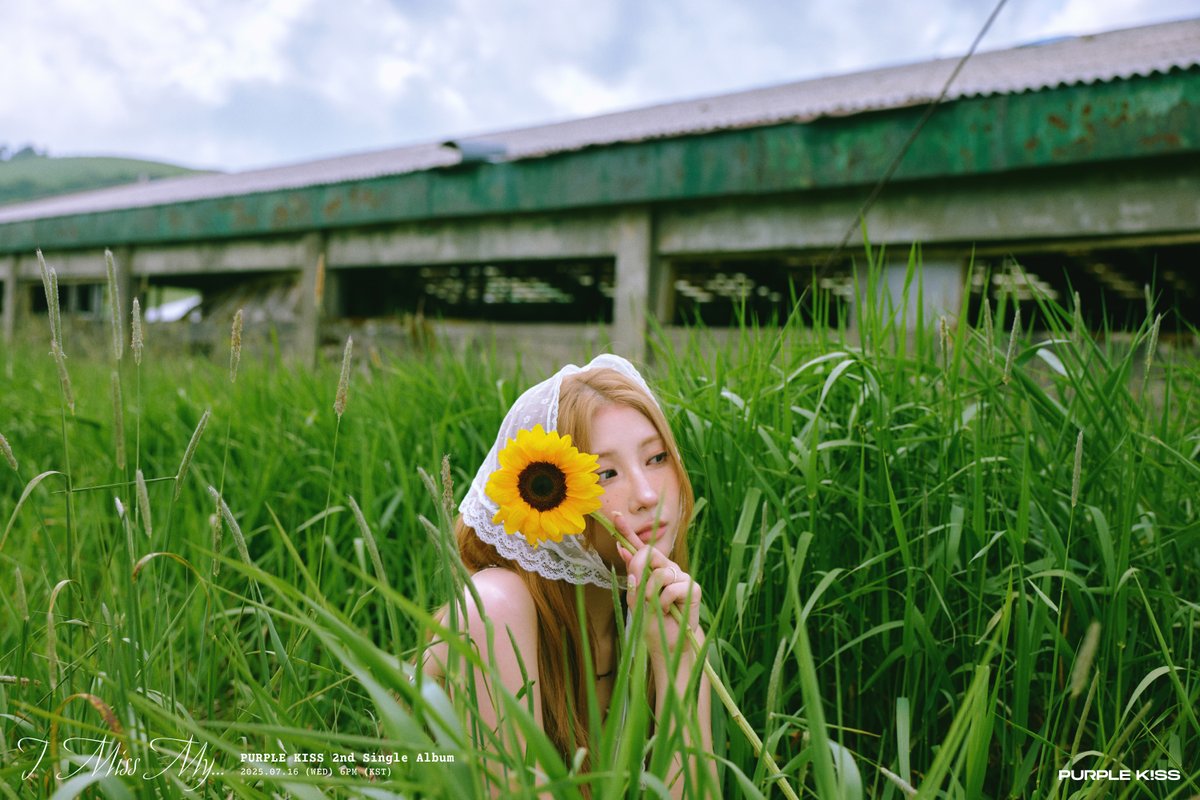 RBW_PURPLEKISS's tweet photo. [#퍼플키스]

2nd Single Album [I Miss My...]

🌿 SOLO CONCEPT PHOTO #2 🌿

🔸 YUKI 🔸
🔸 CHAEIN 🔸
🔸 SWAN 🔸

2025.07.16 6PM RELEASE✔️

#PURPLE_KISS #I_Miss_My #DOREMI
#유키 #채인 #수안 https://t.co/UDBAPuGLmP