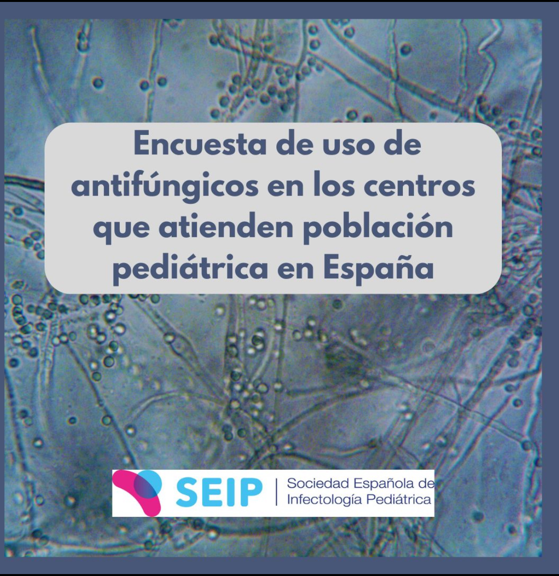 seipweb's tweet image. 🔬 ¿Usas antifúngicos en pediatría? Tu experiencia importa. Ayúdanos a conocer la práctica real respondiendo esta breve encuesta de la SEIP. ¡Solo 2 minutos!
📊 Participa aquí 👉sge.st/2fBVlwR
#Antifúngicos #Pediatría #SEIP