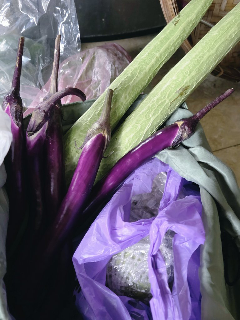 完全不用出去買菜回一趟屏東我爸媽塞了家裡種的養的長絲瓜茄子落葵空心菜小黃瓜皇帝豆芭樂雞油還買了葡萄和芒果給我嗚嗚嗚😭