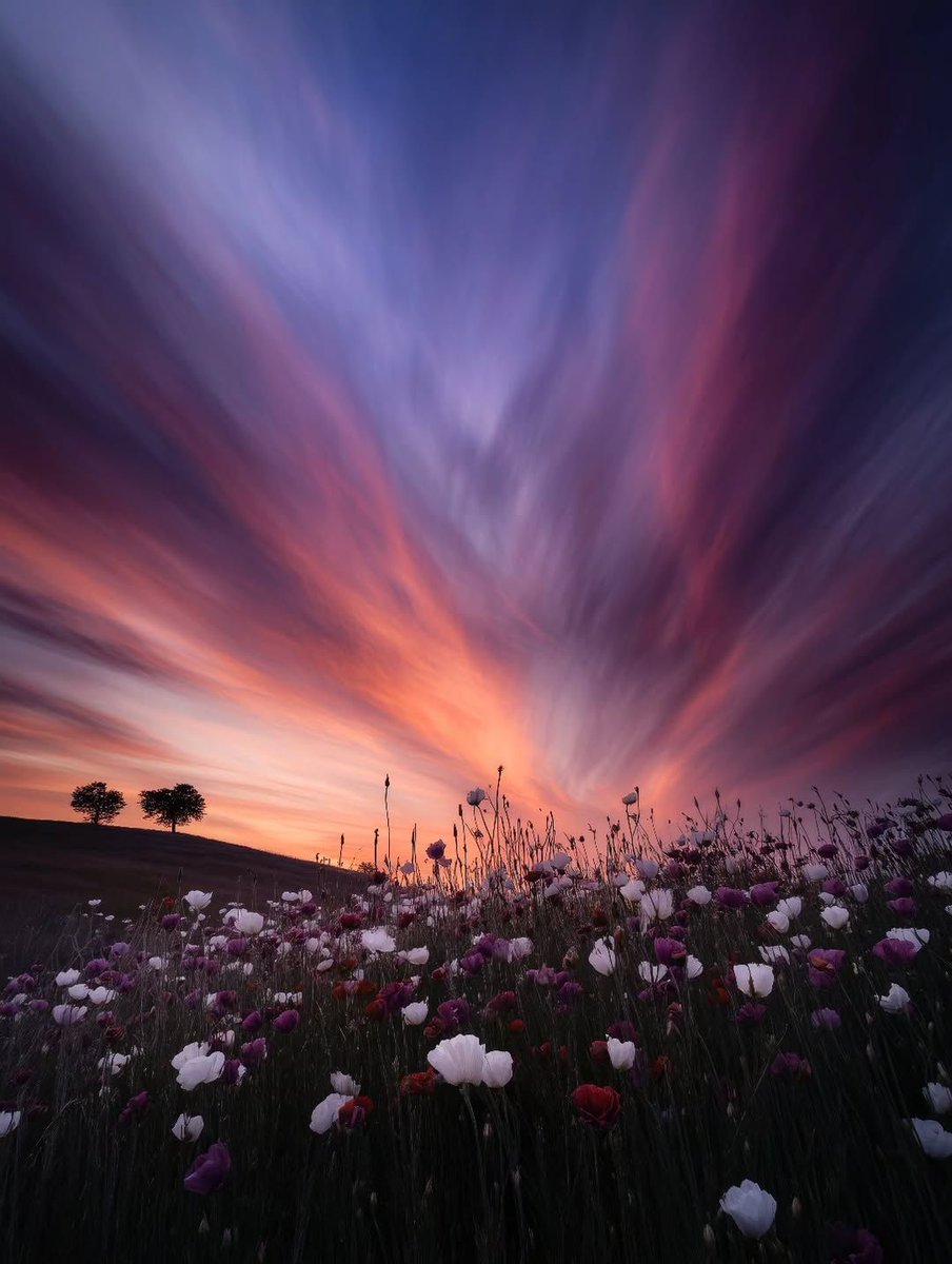 May the stars carry your sadness away,
May the flowers fill your heart with beauty,
May hope forever wipe away your tears,
And, above all, may silence make you strong.

Chief Dan George