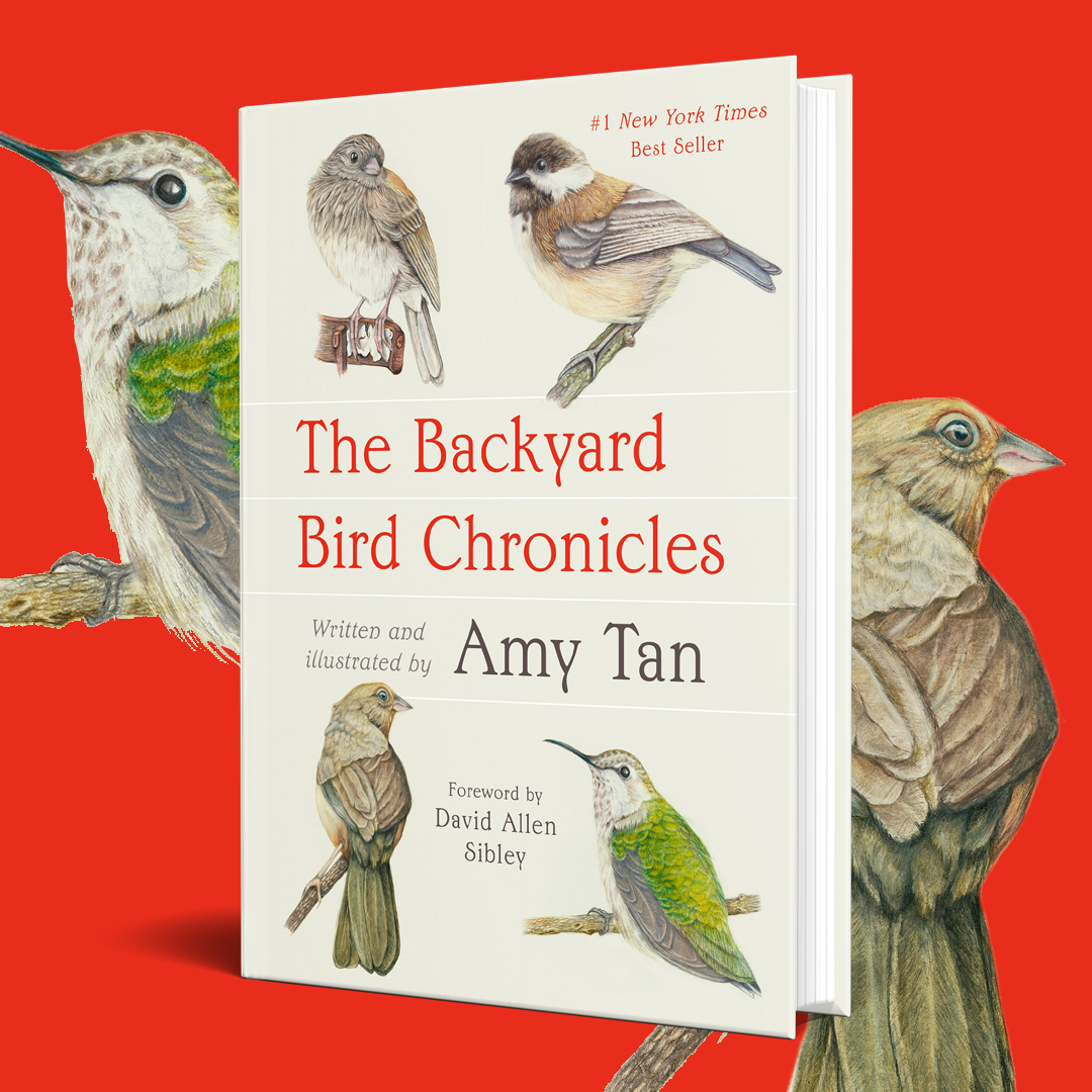 LittleBrownUK's tweet image. 🐦A #1 New York Times bestseller✨
The Backyard Bird Chronicles is a gorgeous, witty account of birding, nature, and the beauty around us that hides in plain sight.
Written and illustrated by Amy Tan, author of The Joy Luck Club.
Pre-order now: brnw.ch/21wTVaC