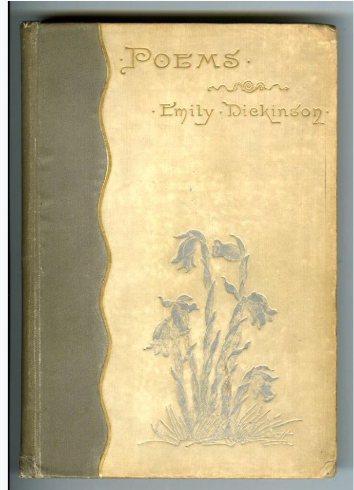 The “ghost pipe,” Monotropa uniflora, a parasitic flower without chlorophyll, which sups from fungal networks underground.

It’s literary too—Emily Dickinson called it “the preferred flower of life,” and it was featured on the first edition of her poems.