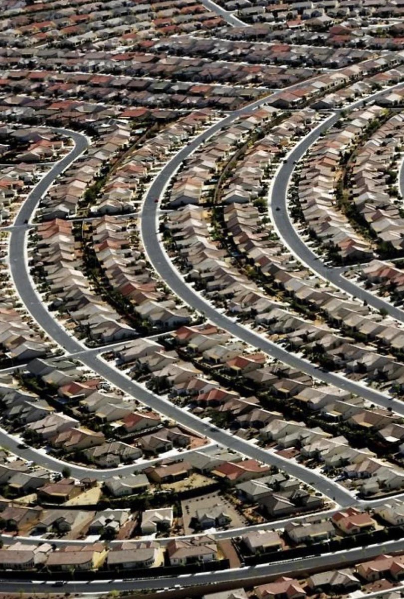 LukeDukeAdams's tweet image. Better stop feeding the community cats in my neighborhood. I could potentially foster an ecological dead zone