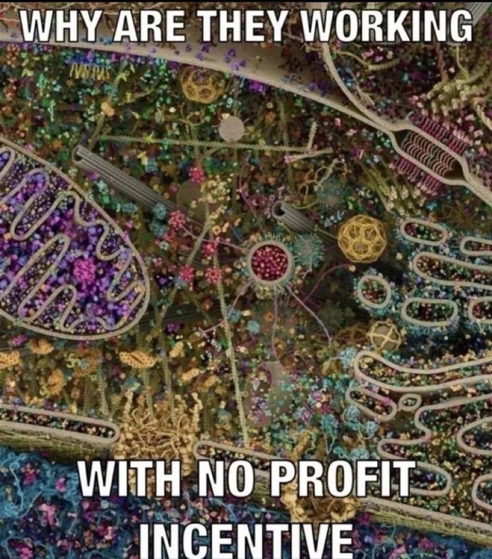chaotic memes (@memechaotic) on Twitter photo 