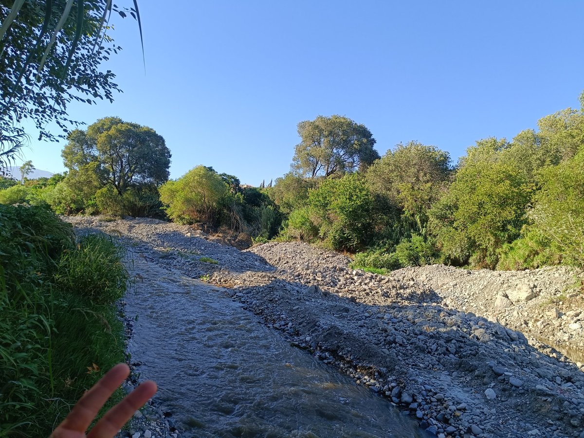 İncitmişler seni güzel Asi
Değişmişsin...
#BizimAsi