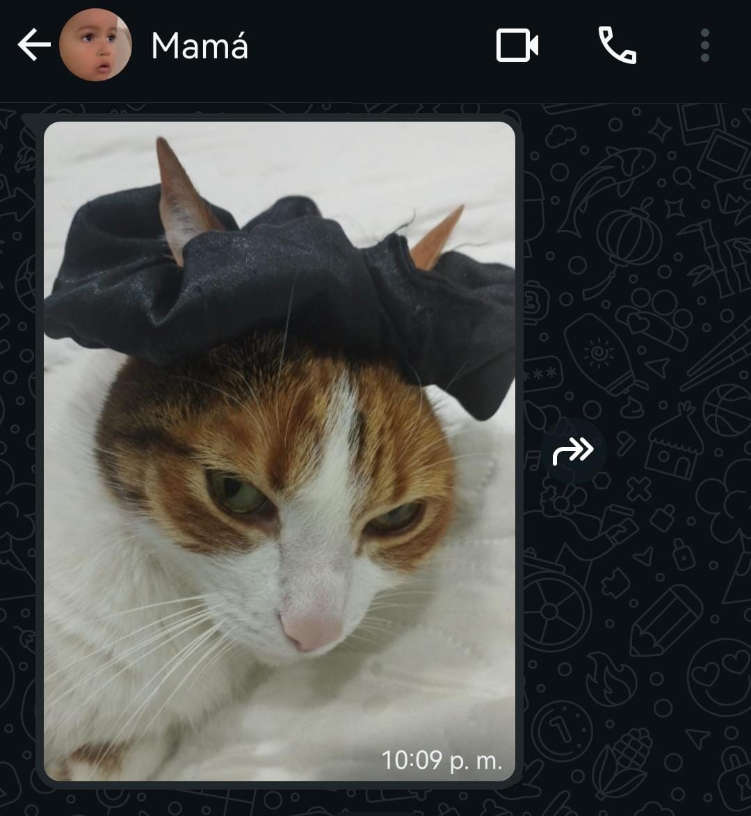 El mensaje de mi mamá a las 10 pm: