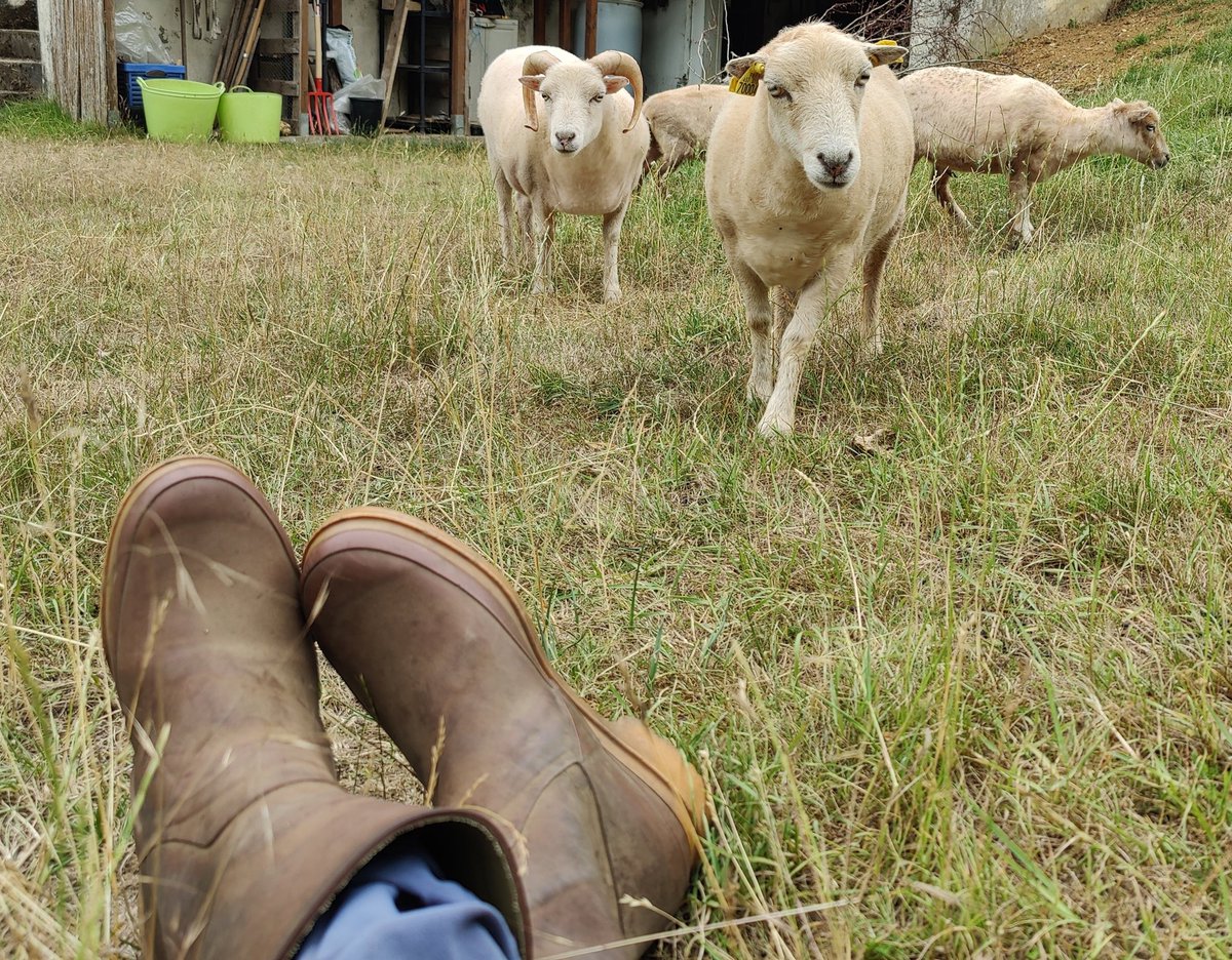 Béate Vervaecke 💬 tweet media