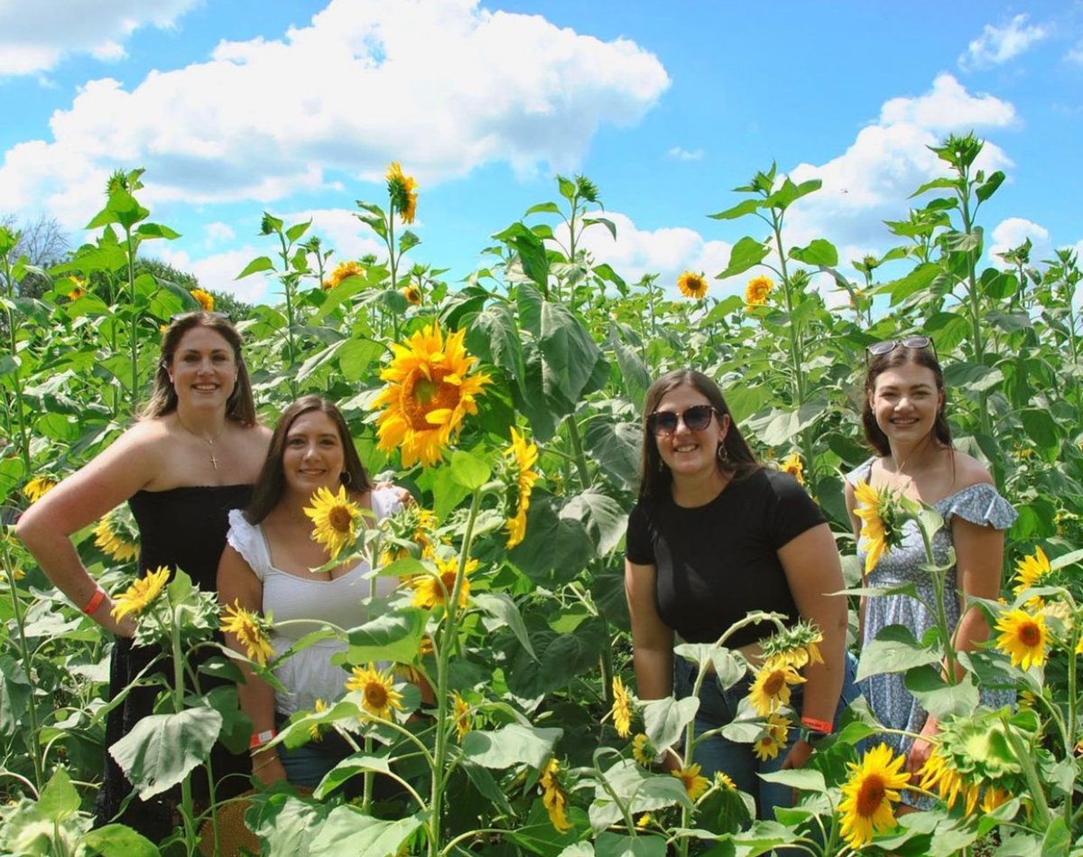 KC Wine Co tweet media