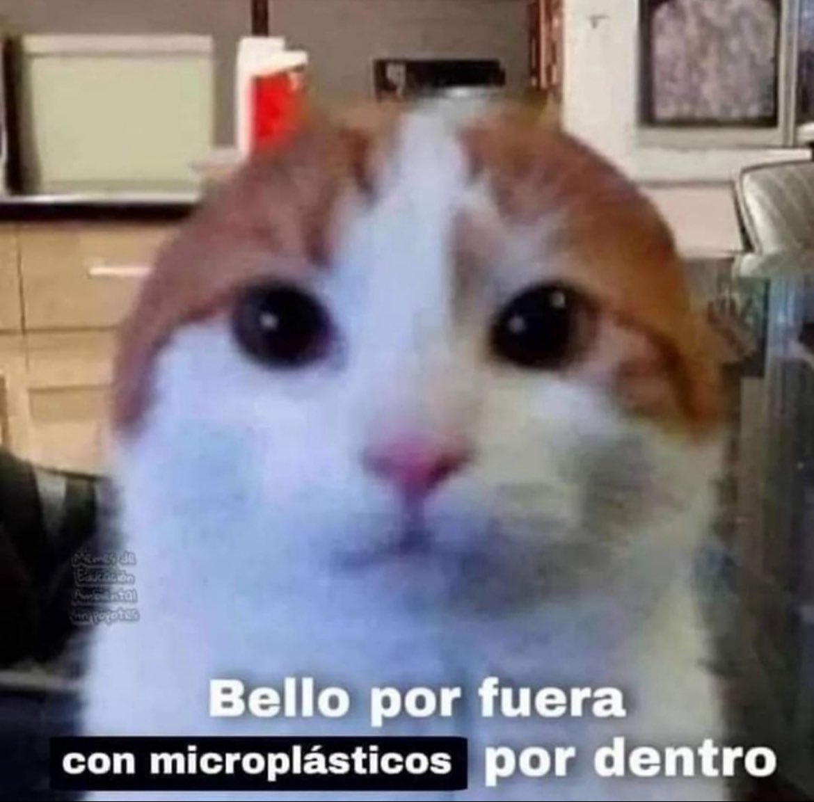 Viri_Monroy's tweet photo. https://t.co/rlxkGsOveT