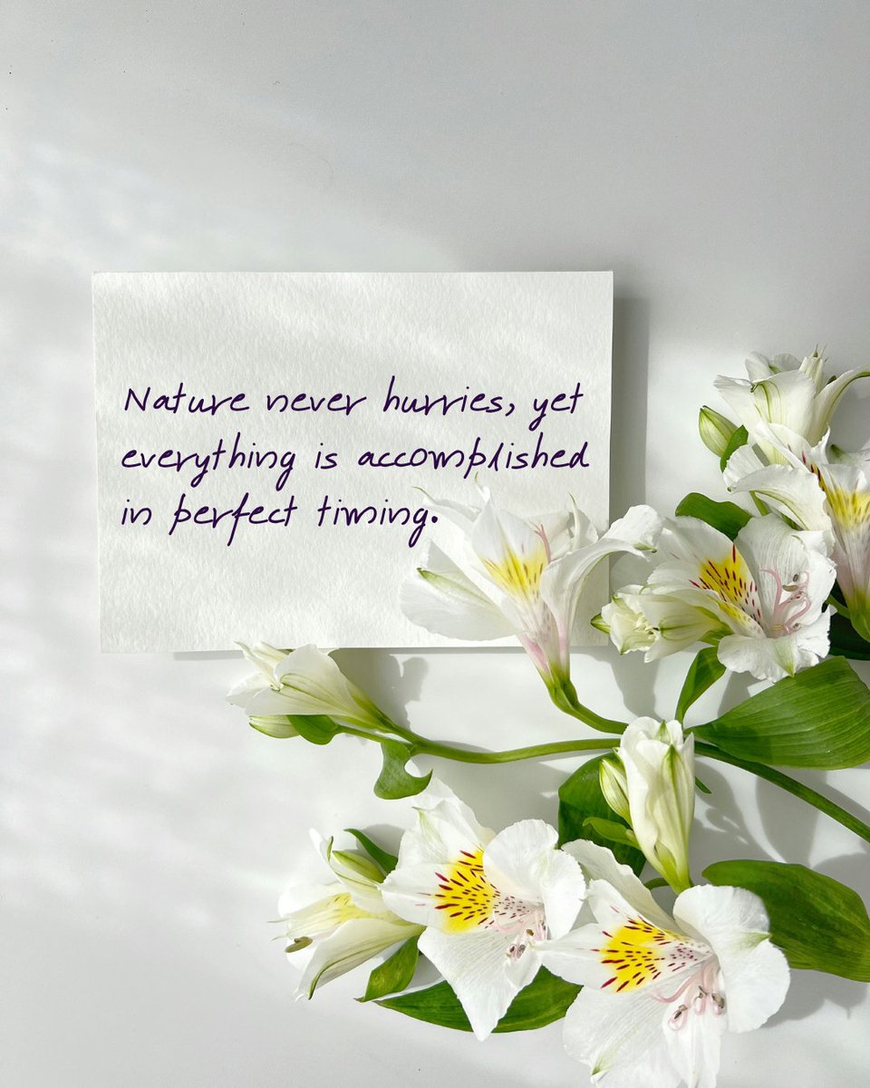 Observe how flowers bloom and seasons change without rush, then apply this wisdom to your own unfolding journey.