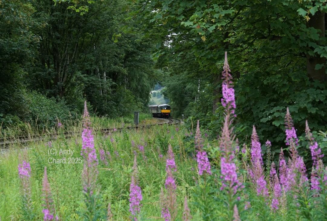 AndyChard1's tweet image. Some of the varied traction at the @eastlancsrly diesel gala today. It&apos;s all happening again tomorrow and well worth a visit.