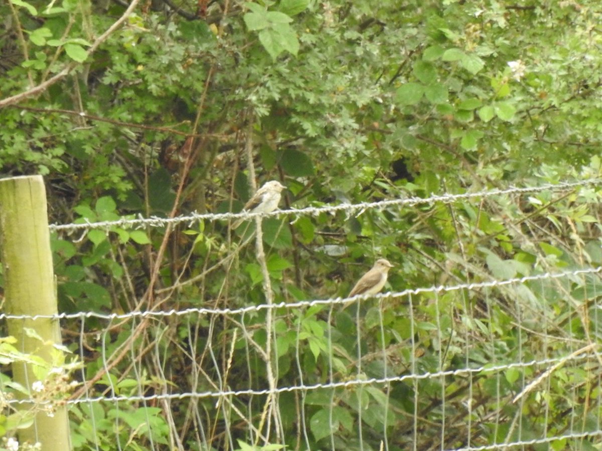 Gary Stones tweet media