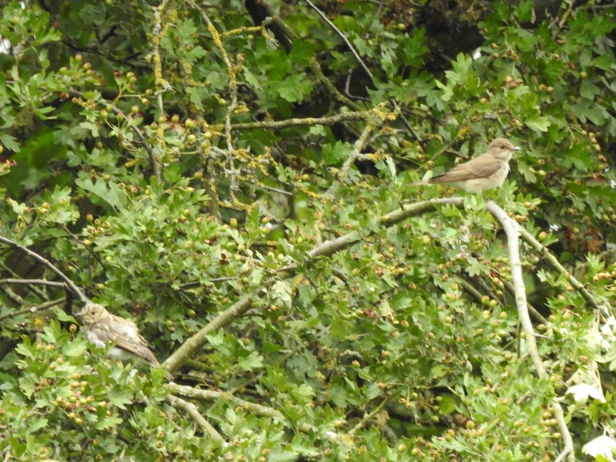 Gary Stones tweet media