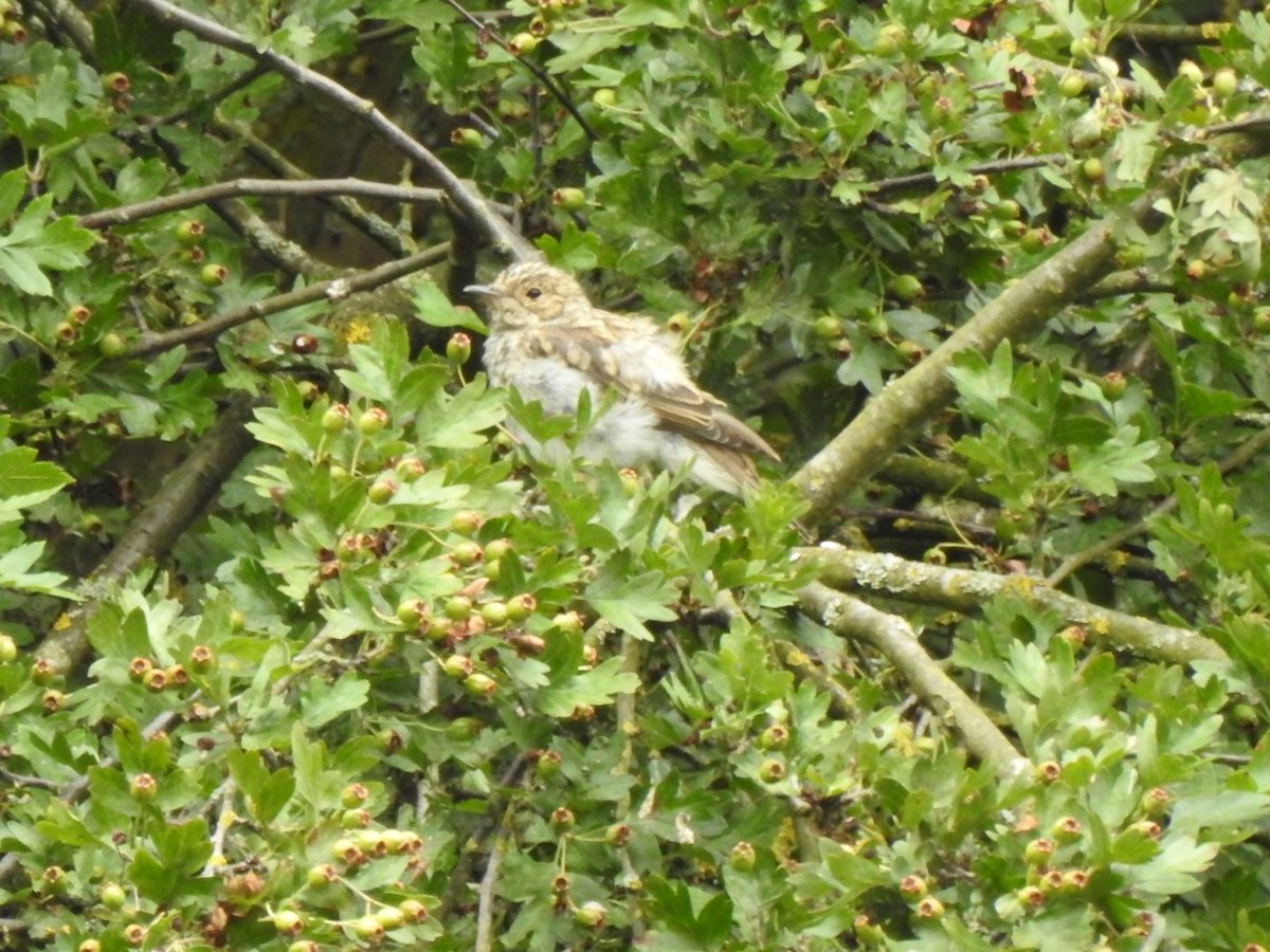 Gary Stones tweet media