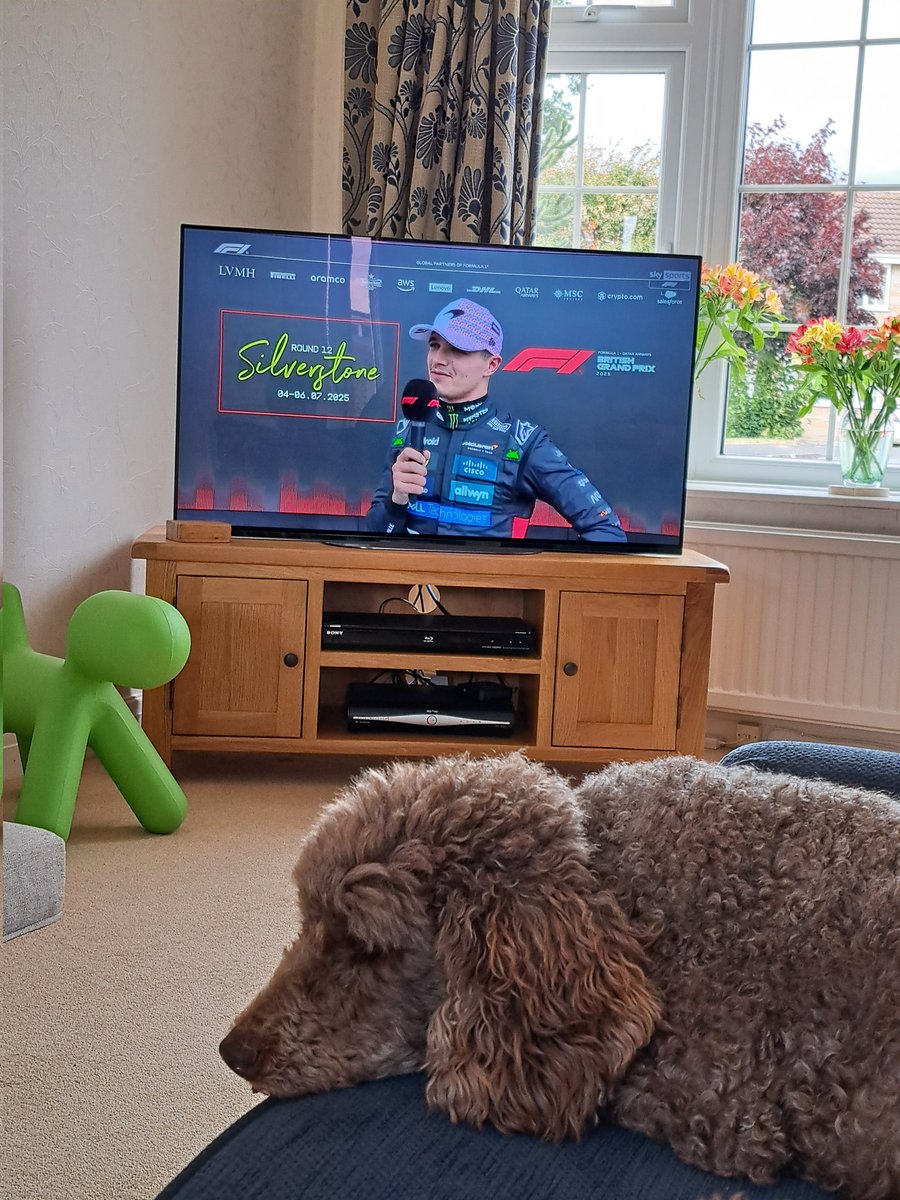 yorkshirejune's tweet image. P3 for @LandoNorris for tomorrow&apos;s British Grand Prix @SilverstoneUK .I wish he was on pole but @hearingdog
 ambassador Pasha is not interested