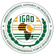 Abdirahman_Gaas's tweet image. The #IGAD region appears to be disintegrating rather than integrating. With nearly half its member states facing internal conflicts, the organization’s credibility as a regional bloc is under pressure. The highest assembly has now been delayed for a second term, missing its…