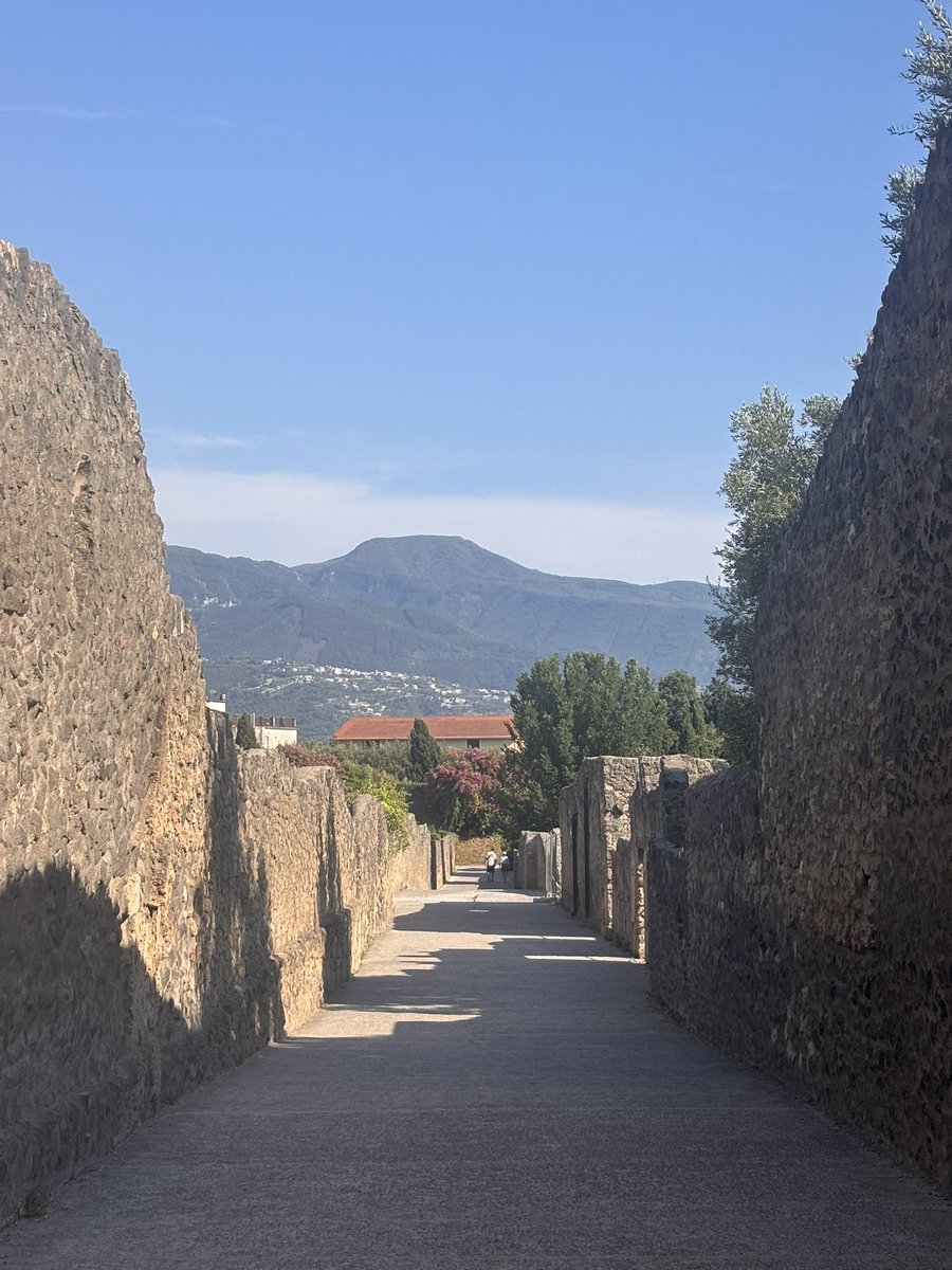 apoorvasriniva's tweet image. in pompei looking at mount vesuvius, named after the famous scrolls