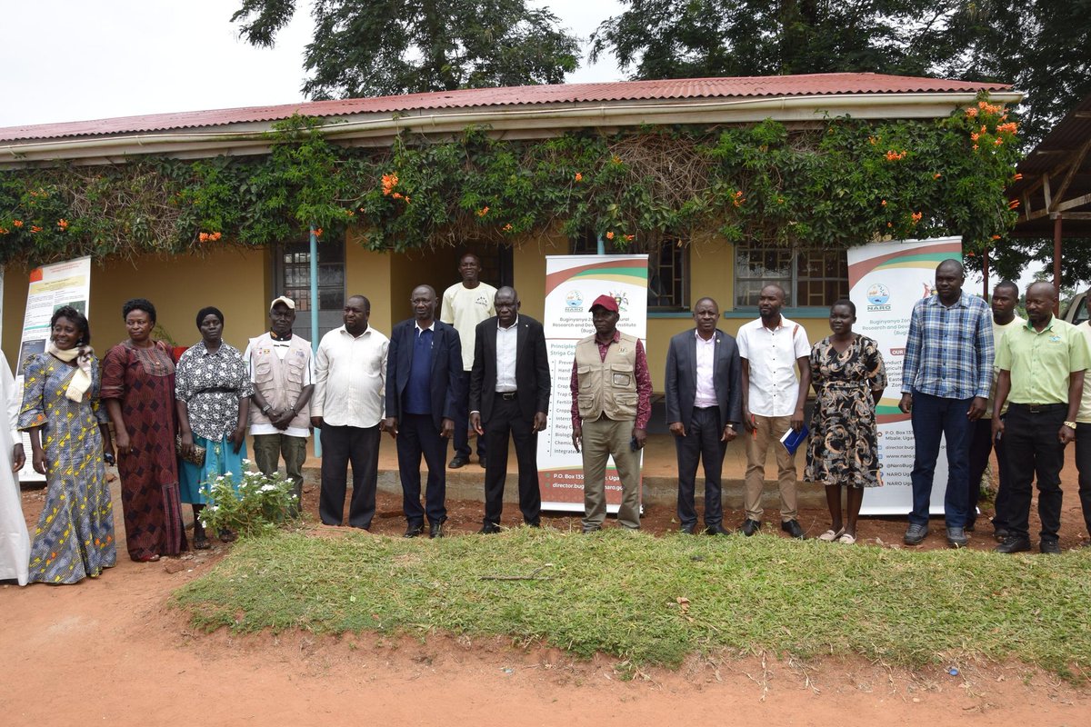 NARO_BUGIZARDI tweet media