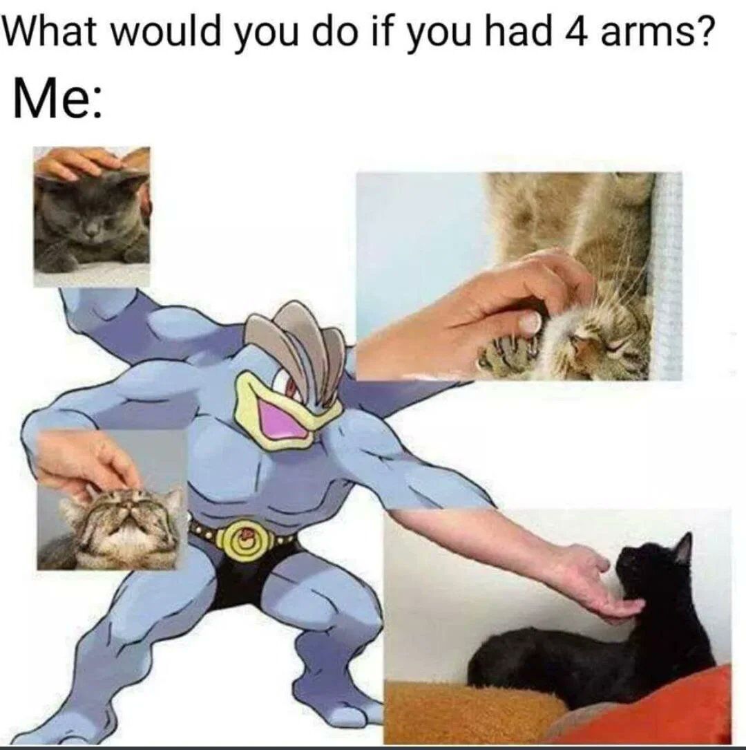WholesomeMemes (@wholesomememe) on Twitter photo 
