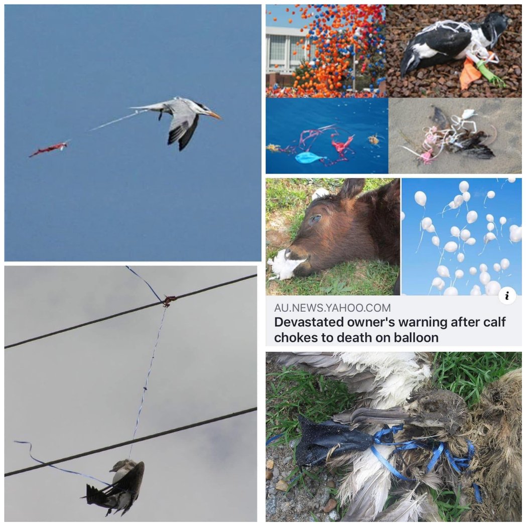 People need to stop #balloon releases!! #Balloons