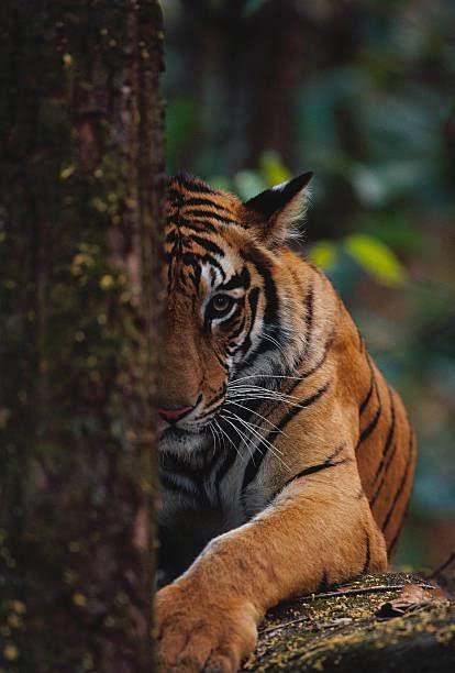 He said with great pride, there will be many like you , I smiled and said , "Why are you looking for someone like us?
#GoodMorningTwitterWorld
