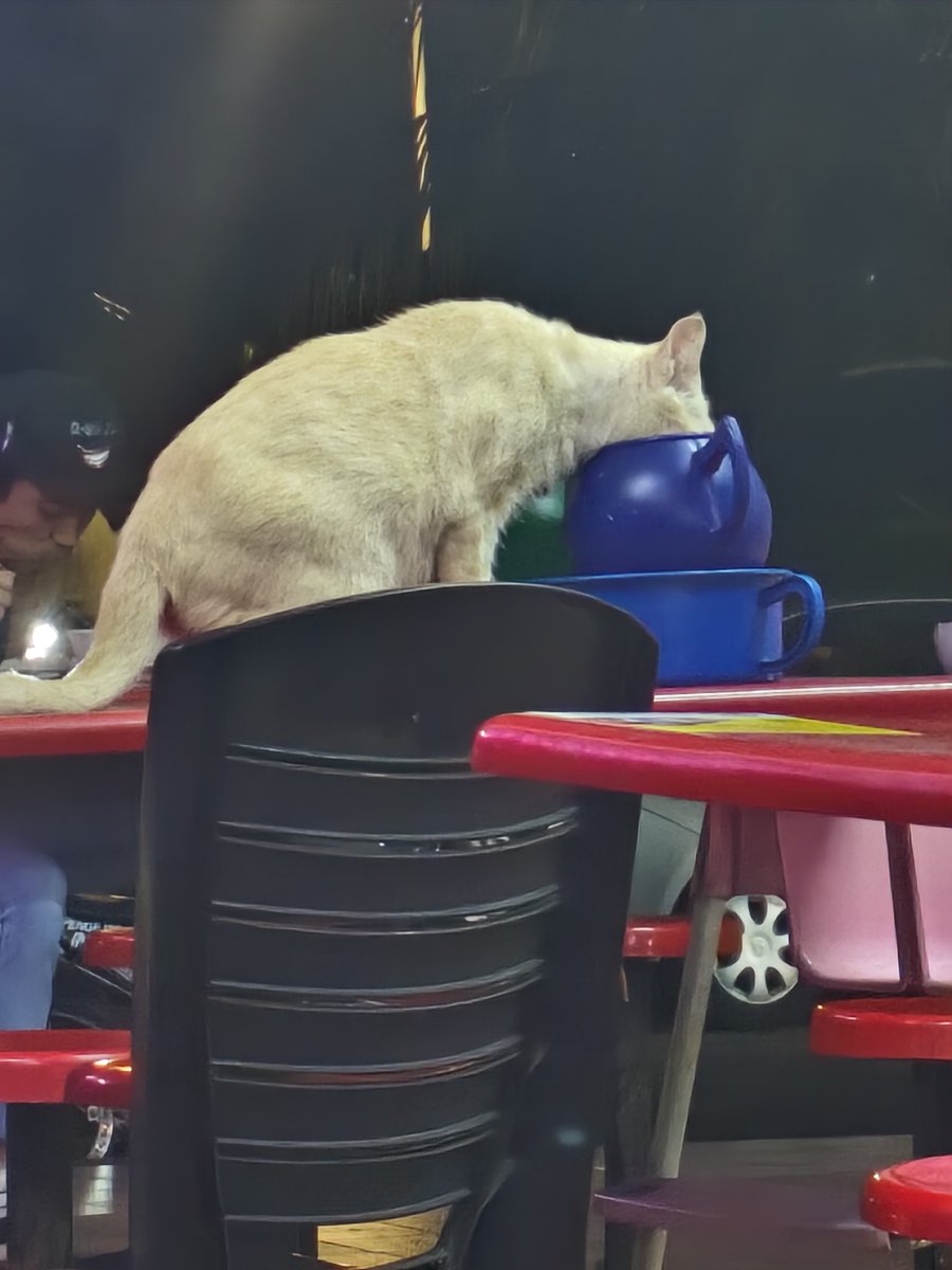 nmhrldba's tweet image. Bro haus.