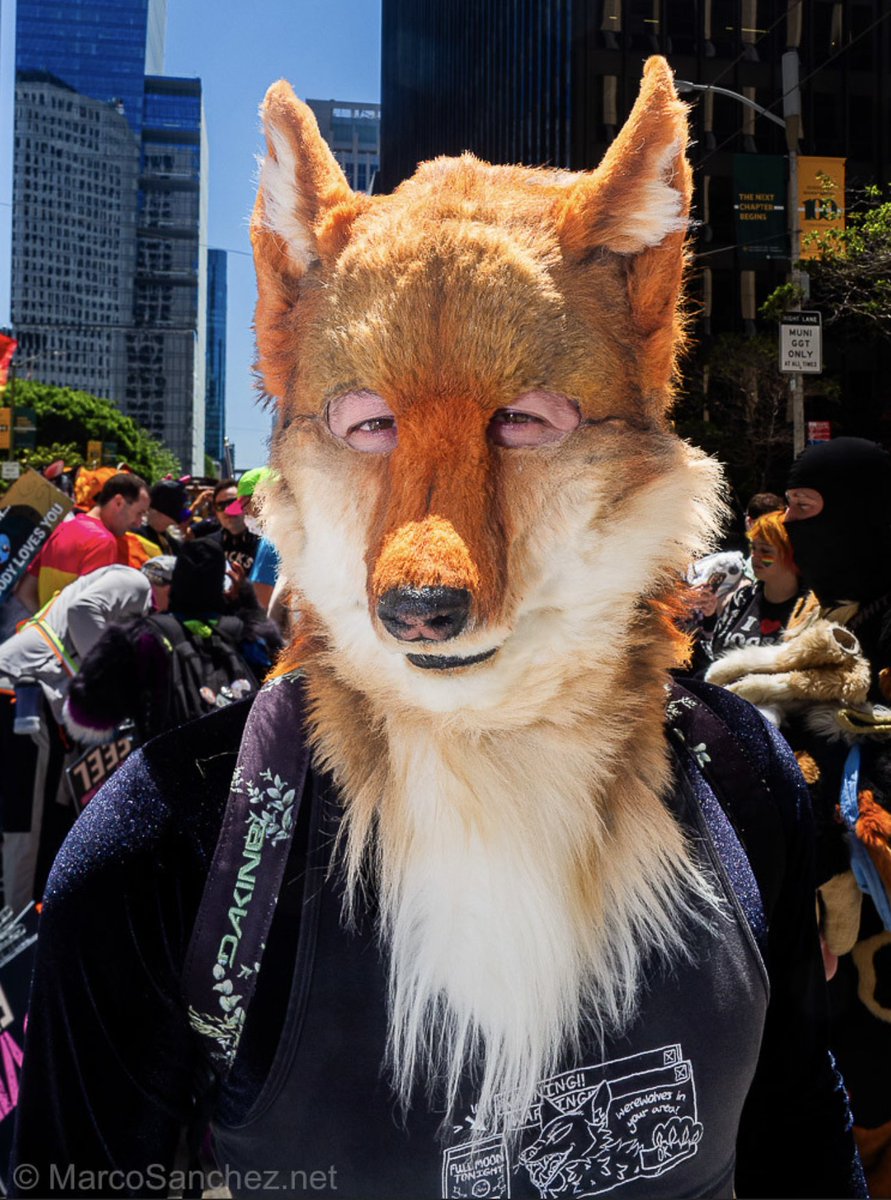 Spottacus's tweet image. Saigon @SaigonTheKomodo at SF Pride (by MarcoSanchez.net, head by @/magpiebones)