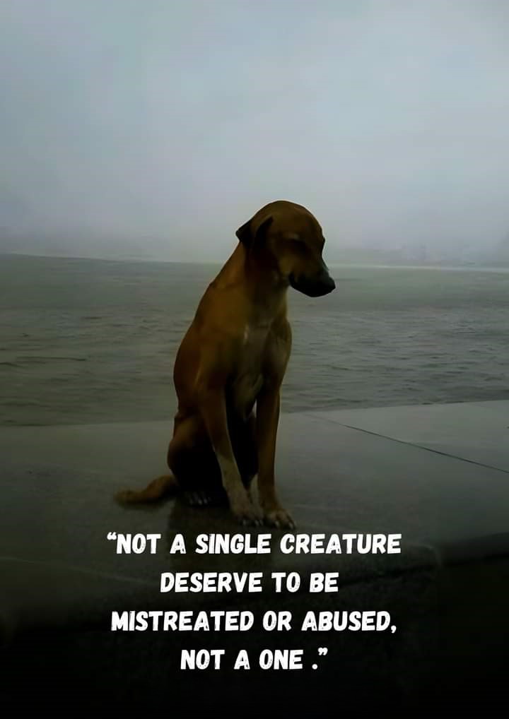 Not a single creature ....!