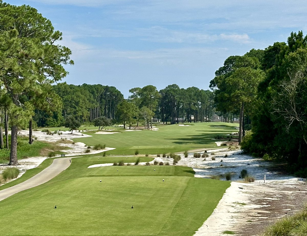 bergingolf's tweet image. Faves from the weekend!