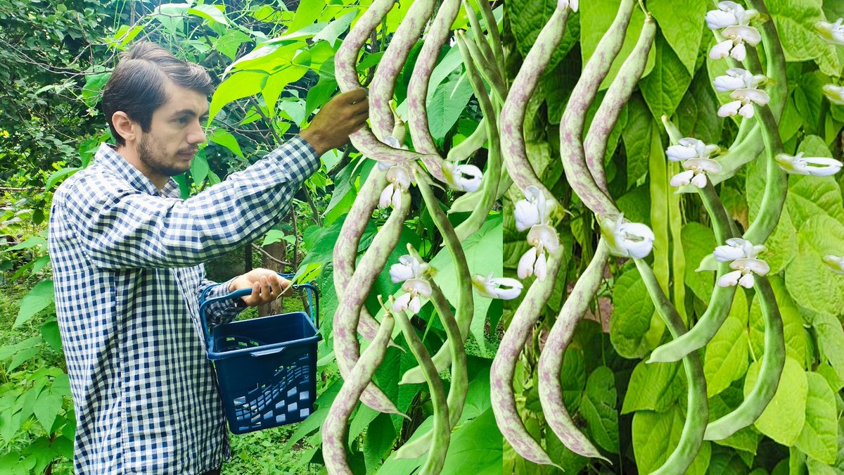 RusticFlavors55's tweet image. youtu.be/5OIvu2r-KI8?si…