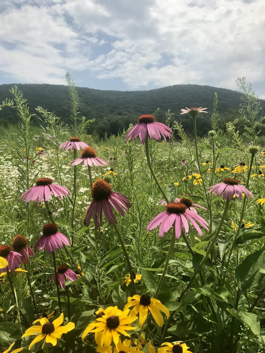 walking on the trail
