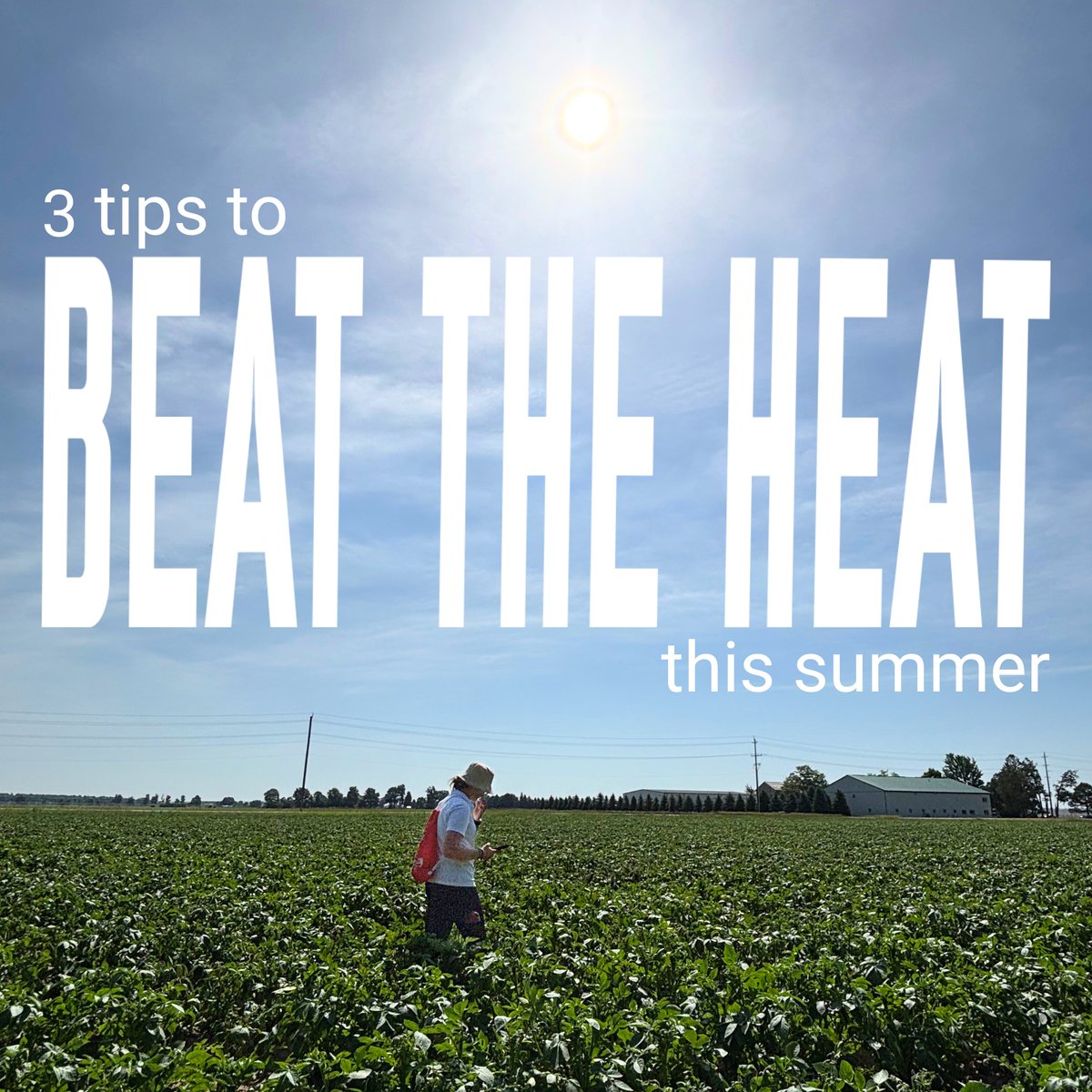 Working and playing in extreme heat can be hazardous without proper precautions. Here are the top three tips to stay safe and effective: 1. Stay Hydrated, 2. Dress in Cool Clothing, 3. Schedule Work Accordingly. Have a great weekend! #Worksafe #ontag #beattheheat #cropscouting