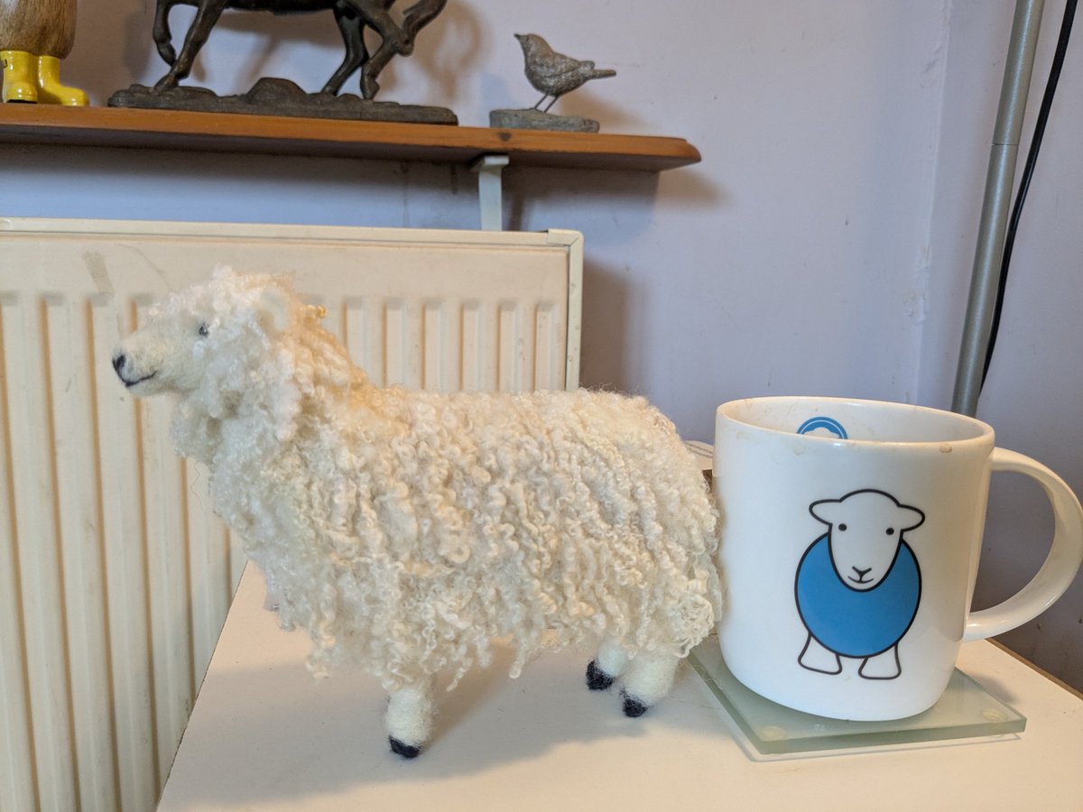 Fabulous 2 days at #groundswell2025 regenerative farming event. Dung beetle safari with the awesome Claire Whittle, learned about tree fodder and even how to train dogs to find truffles. Back to earth vaccinating 350 lambs this morning and then needlefelting a #cotswoldsheep