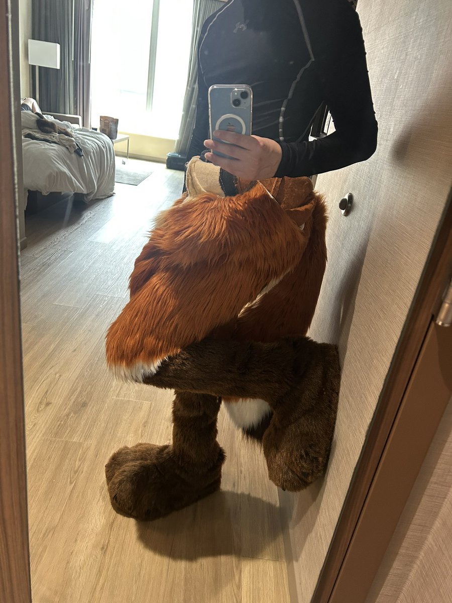 Going down to suit 🦊✨