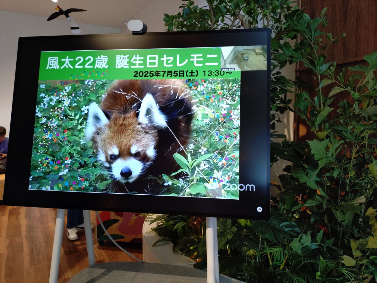 日付が変わってしまって、ちょっと淋しい気分💦風太さま22歳のお誕生日