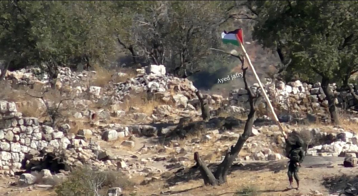 Qplo's tweet image. Israeli occupation soldiers remove a flag of Palestine erected by local Palestinian farmers on a land threatened with confiscation near the village of 📍#Sinjil in the central occupied West Bank.