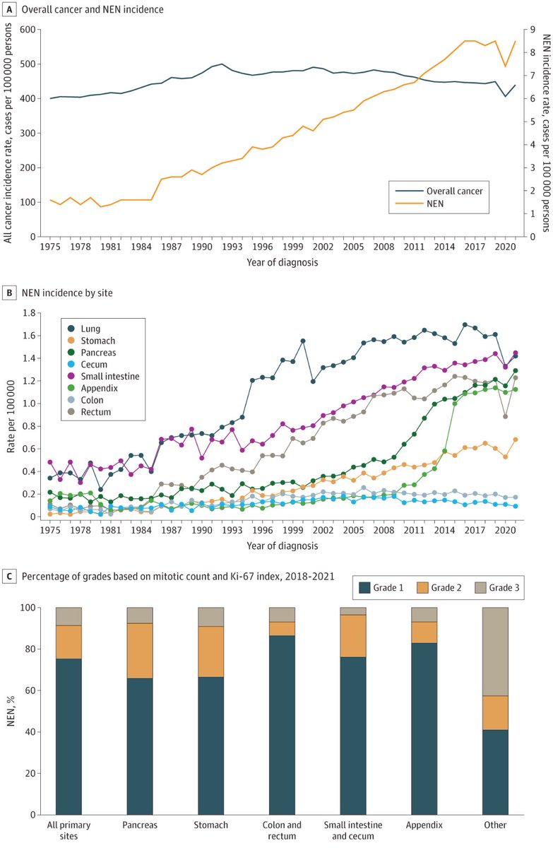 Thor Halfdanarson (@oncothor) on Twitter photo I try, often unsuccessfully, to not post while on vacation but this is just too important. Hot of the <a href="/adasarimd/">Arvind Dasari, MD, MS</a> et al. press. New SEER data. Increasing incidence and prevalence, owing to earlier and likely largely incidental diagnoses. Improving OS too🙂
jamanetwork.com/journals/jaman… I try, often unsuccessfully, to not post while on vacation but this is just too important. Hot of the <a href="/adasarimd/">Arvind Dasari, MD, MS</a> et al. press. New SEER data. Increasing incidence and prevalence, owing to earlier and likely largely incidental diagnoses. Improving OS too🙂
jamanetwork.com/journals/jaman…