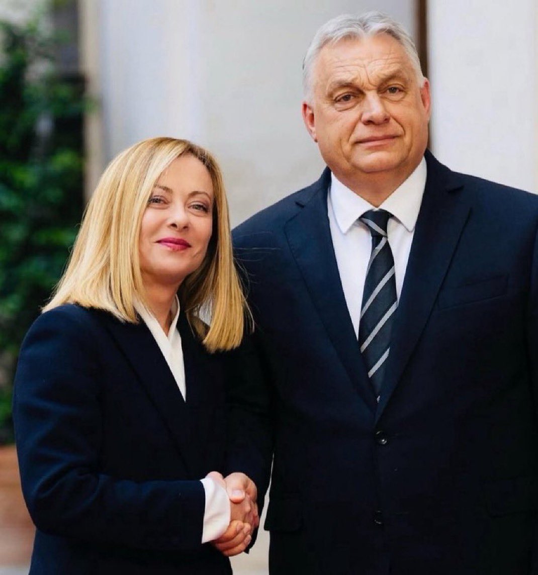 Bozwy 🕊️ tweet media