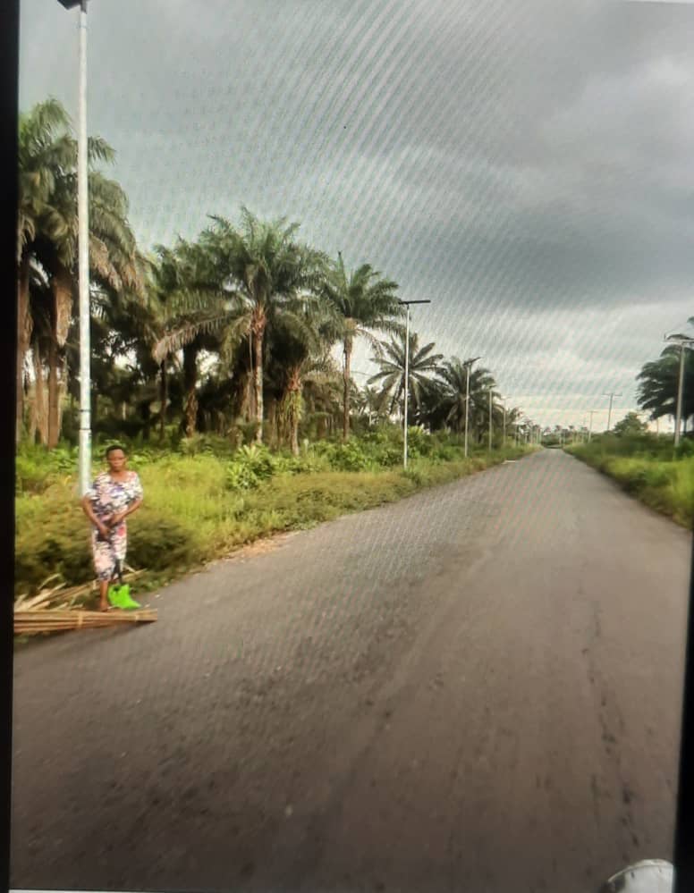N300m was allocated to the Provision of All in One Solar Street Light in Selected Communities in Tailga LGA, Rivers State in the 2024 FG Budget. 

We tracked and report that about 50 streetlights have been installed across Koromai in Tai.

The project is now serving the