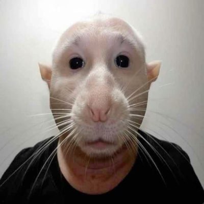 ᴍ ᗩ ɴ ᴜ tweet media