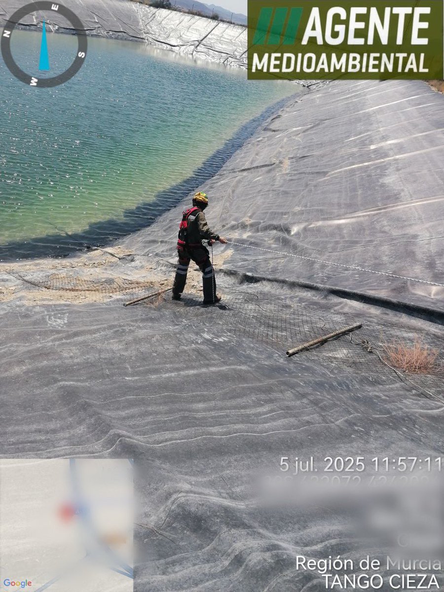 📢 #AAMM_Murcia han rescatado dos tejones, 𝘔𝘦𝘭𝘦𝘴 𝘮𝘦𝘭𝘦𝘴, que habían caído a una balsa de riego. Han sido trasladados a #CRFS_Valle para su valoración. Un tercer ejemplar se encontraba ahogado. 

📸 Agentes comarca de #Cieza durante las labores de rescate.