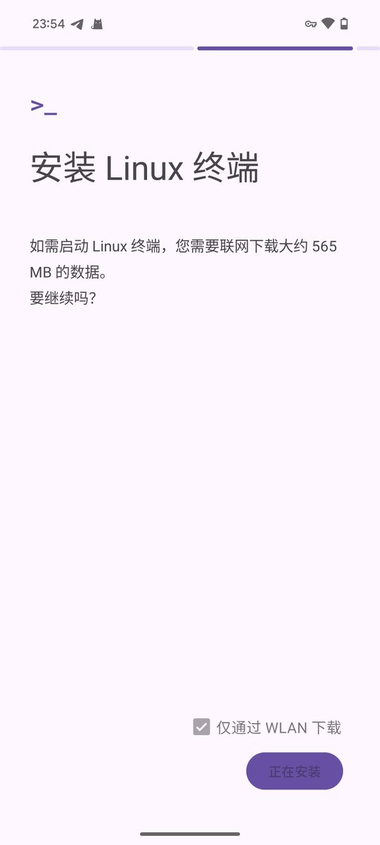 电脑送修了，研究下 pixel 上的 linux 终端能否用来 vibe coding🫠