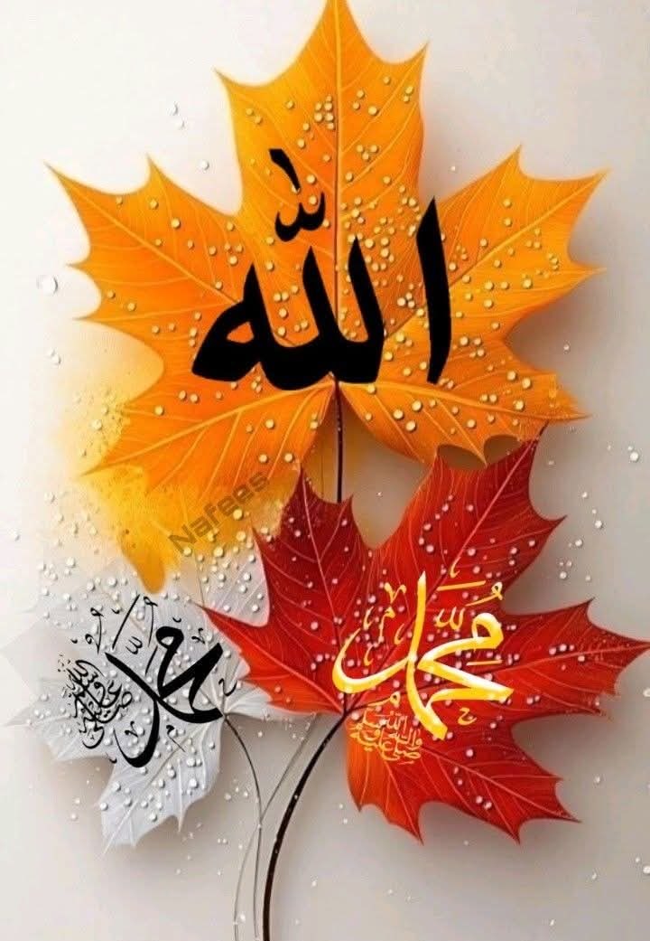 یا اللهﷻ!
هر ناروغ ته شفا، روغتیا او هوساینه ورکړه•