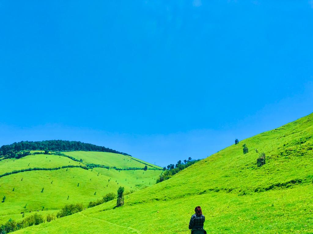 nkotanyi_5's tweet image. Genda Rwanda urinziza 
Uhumeka Amahoro
Ibyiza Bigutatse  birimo  ikirere cyiza ubutaka bwiza bwambaye ubwatsi bwiza 

Bigogwe Greenland ✨💚

#Visitbigogwe @Visit_Bigogwe