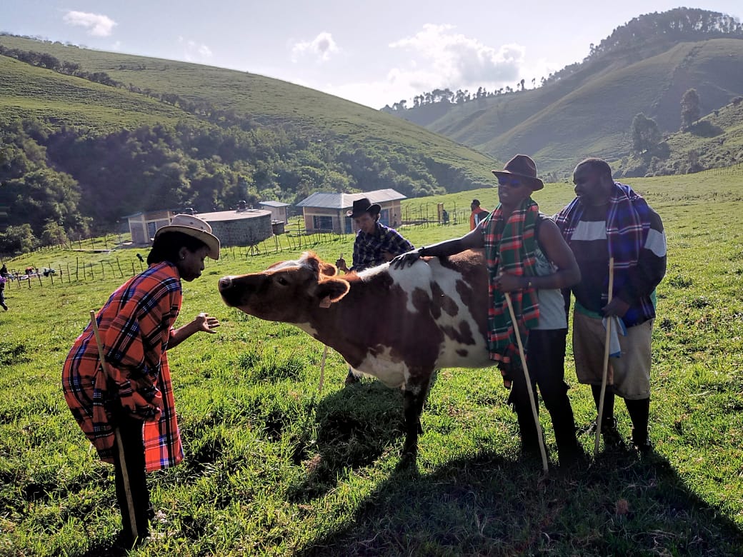 nkotanyi_5's tweet image. Genda Rwanda urinziza 
Uhumeka Amahoro
Ibyiza Bigutatse  birimo  ikirere cyiza ubutaka bwiza bwambaye ubwatsi bwiza 

Bigogwe Greenland ✨💚

#Visitbigogwe @Visit_Bigogwe
