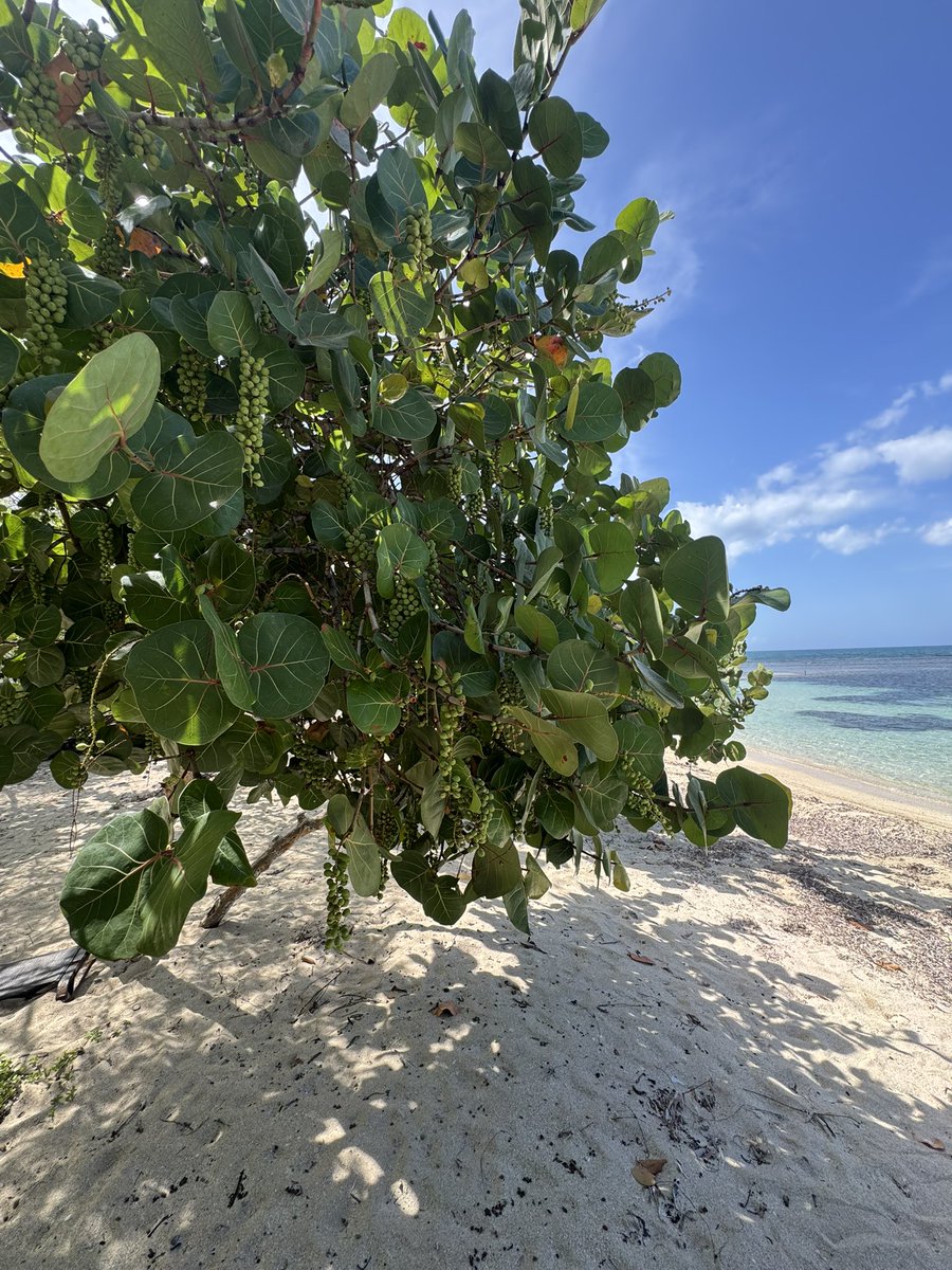 I love it here