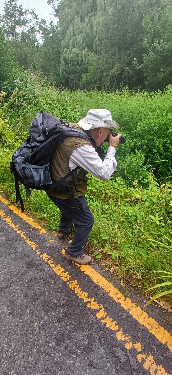 Marc Heath (@marcheathym007) on Twitter photo Despite the very gloomy skies, I led a <a href="/naturetrektours/">Naturetrek</a> Dragonfly tour at New Hythe today. Highlights included 2 Lesser Emperor (1 seen catching a Migrant Hawker), 2 Beautiful Demoiselle and plenty of Damselflies. <a href="/BDSdragonflies/">British Dragonfly Society</a> #Teamdragonfly Despite the very gloomy skies, I led a <a href="/naturetrektours/">Naturetrek</a> Dragonfly tour at New Hythe today. Highlights included 2 Lesser Emperor (1 seen catching a Migrant Hawker), 2 Beautiful Demoiselle and plenty of Damselflies. <a href="/BDSdragonflies/">British Dragonfly Society</a> #Teamdragonfly