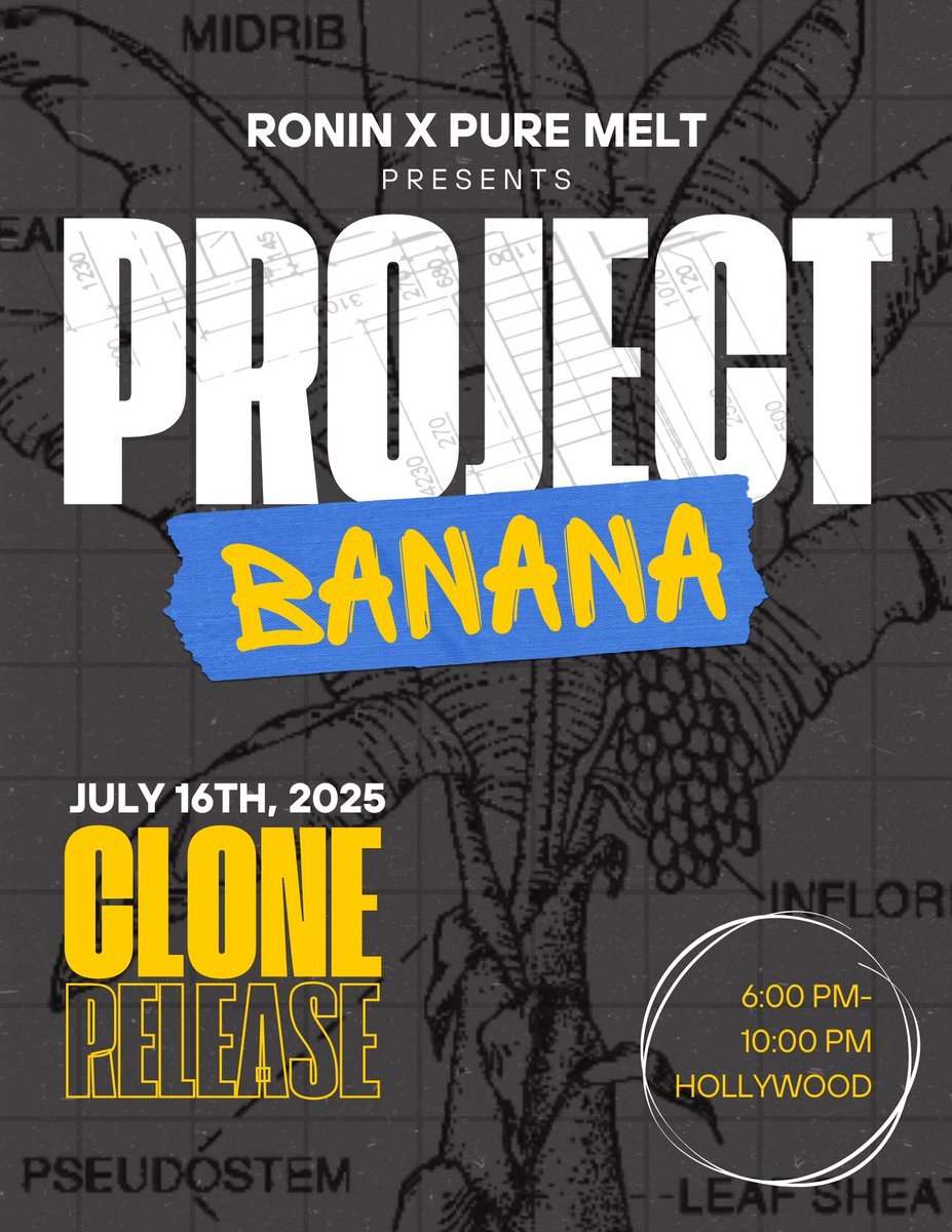 Raw Genetics (@raw_genetics_) on Twitter photo Banana Zikigai/Saba Banana🍌 ⛩️🌈 clone release is coming! Exclusively at Project Banana on 7/16! (Zikigai x Banana Meltshake) ticket link is now live
👇👇
eventbrite.com/e/project-bana…
<a href="/Raw_Genetics_/">Raw Genetics</a>
<a href="/WCCcanna/">West Coast Connoisseurs</a>
<a href="/ronin_seeds/">Roninseeds</a>
<a href="/pure_melt/">Pure Melt</a>
<a href="/B_Eazyllc/">B Eazy CEO</a>
<a href="/DripHydroFYF/">Drip Hydro</a>
<a href="/lakushklinic/">kushklinic</a> Banana Zikigai/Saba Banana🍌 ⛩️🌈 clone release is coming! Exclusively at Project Banana on 7/16! (Zikigai x Banana Meltshake) ticket link is now live
👇👇
eventbrite.com/e/project-bana…
<a href="/Raw_Genetics_/">Raw Genetics</a>
<a href="/WCCcanna/">West Coast Connoisseurs</a>
<a href="/ronin_seeds/">Roninseeds</a>
<a href="/pure_melt/">Pure Melt</a>
<a href="/B_Eazyllc/">B Eazy CEO</a>
<a href="/DripHydroFYF/">Drip Hydro</a>
<a href="/lakushklinic/">kushklinic</a>