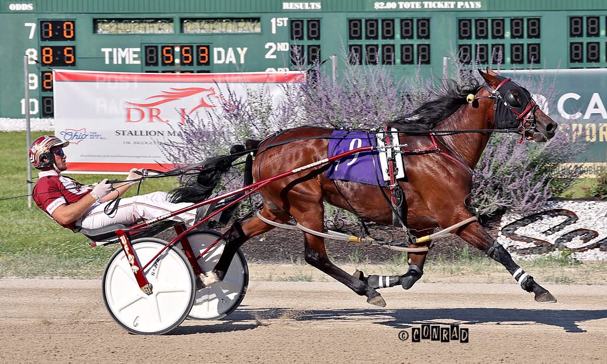LEGENDARY L made it 5 wins in her most recent 6 starts, yesterday at Scioto Downs, winning from 9th in the Buckeye  Stallion Series and earning a nice round number ($ 10K).