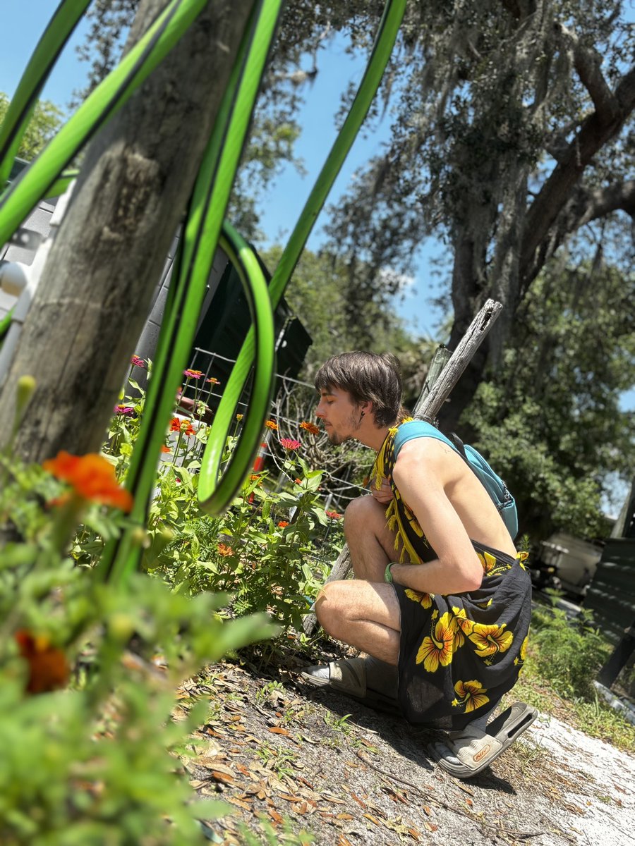 Naturallynude(21.2k) tweet media